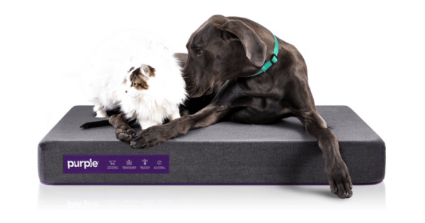 purple pets dog bed