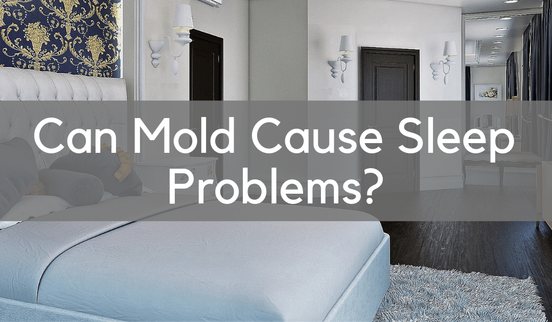 Can Mold Cause Sleep Problems Counting Sheep Research